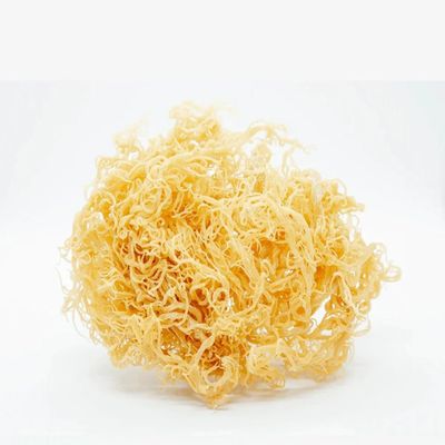 MASSt Lucian Sea Moss Gold Organic and Wildcrafted 1kg-Fd