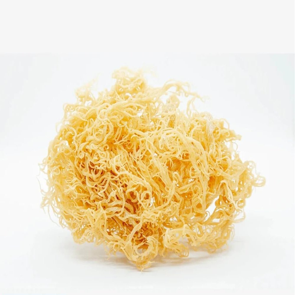 MASSt Lucian Sea Moss Gold Organic and Wildcrafted 1kg-Fd