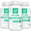 Liposomal Magnesium Complex 2200mg - High Potency with Glycinate & Citrate, Gluten Free, 60 Softgels.(60 Count (Pack of 3) view 1