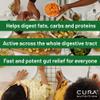 CURA NUTRITION CURAZYME Ultra (90 Capsules) Advanced Digestive Enzymes Supplement for Gut Health, Gold Digest Formula for Bloating, Heartburn, Digestion Relief, Ax-Max500 Digestion Accelerator, Vegan view 2
