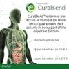 CURA NUTRITION CURAZYME Ultra (90 Capsules) Advanced Digestive Enzymes Supplement for Gut Health, Gold Digest Formula for Bloating, Heartburn, Digestion Relief, Ax-Max500 Digestion Accelerator, Vegan view 4
