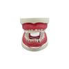 Dental Mouth Opener, 5 Pcs Clear Dental Orthodontic Lip Cheek Retractor Expander Dental Mouth Accessory for Anterior Teeth view 4