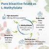 Igennus Clean Methyl Folate 400 mcg, 180 Tablets, Methylated Form of Folic Acid 5-MTHF (Vitamin B9), Vegan, Suitable for Pregnancy, Pure Formula, One-a-Day, 6 Month Supply view 4