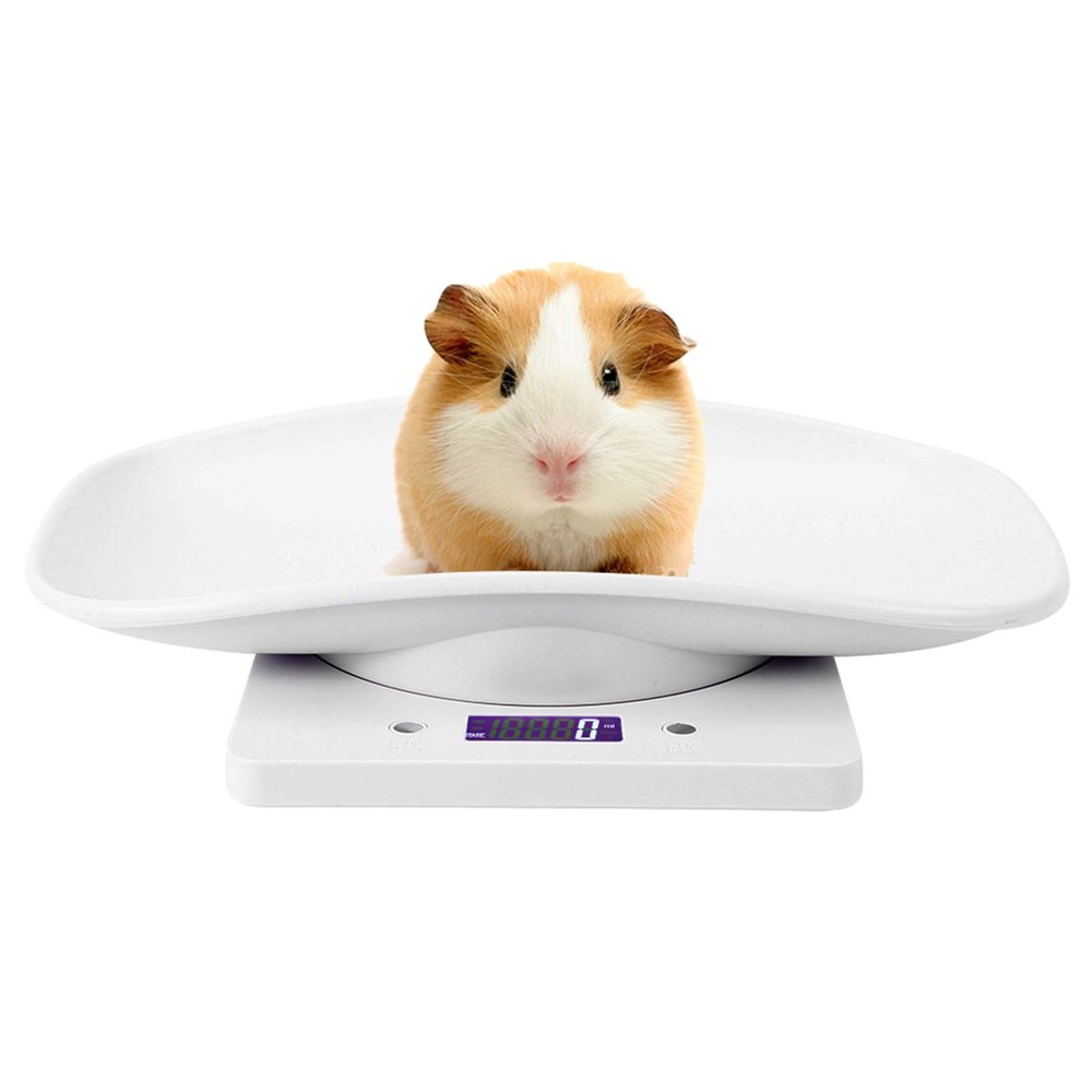 Multi-Function Digital Pet Scale,Large LCD Display Electronic Scales Weight 10kg Capacity Pet Dog Weighing Scale with Comfortable Curving Platform for Small Dog Cat and Animals