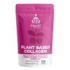 HYBRID HERBS  Plant Based Collagen Powder - Anti Aging Supplement for Skin, Wrinkles, Hair Growth with Pink Pitaya, Acerola Cherry & Tremella Mushroom Extracts | 113 Servings (113g)  Vegan Collagen view 1