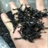 Nori Flakes,Dried Seaweed,30g view 2