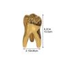 Teeth Model - Personalized Dental Hygienist Christmas Ornament Statue for Dental Hygienist Dentist Dental Assistant Gifts view 3
