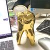 Teeth Model - Personalized Dental Hygienist Christmas Ornament Statue for Dental Hygienist Dentist Dental Assistant Gifts view 4
