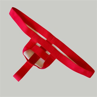 Adjustable Chastity Belt Male Chastity Lock Sexy Underpants Anti-Fall Chastity Cage(Red,M)