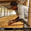 Rio Fair Trade 100% Rainforest Alliance Fairtrade Arabica Coffee Beans (1kg) (1) view 2