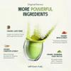 Matcha Fuel SuperLatte - Mushroom, Superfood & Adaptogenic Matcha Powder | Energy, Focus & Immunity | Lion's Mane, Reishi, Cordyceps, KSM-66 Ashwagandha | Gluten Free | Vegan | 15 Servings (300g) view 4
