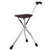 Aluminum Alloy Hiking Walking Stick Cane Stool Leisure Travel Walking Stick For The Elderly Walker Interesting view 1