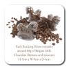ButtonChocs Chocolate Rocking Horse - Rock It Baby. A Little Belgian Milk Chocolate Birthday Gift. Pony Gift, Horse Gift. view 4