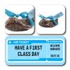 ButtonChocs Birthday Chocolate Airplane - Have A First Class Day. Belgian Milk Chocolate Birthday Gift. Planespotter Gift. view 2