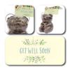 ButtonChocs Get Well Soon Chocolate Teddy Bear. Belgian Milk Chocolate Get Well Soon Gift. view 2