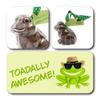 ButtonChocs Chocolate Frog - Toadally Awesome. Belgian Milk Chocolate Gift. view 2