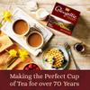 Glengettie  Black Tea Bags 250g x 12 (960 Tea Bags)  Strong Welsh Brew Since 1952  Full Flavoured  Kenyan & Assan Blend  Ethical & Sustainable view 4