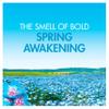 Bold All-in-1 PODS Washing Liquid Capsules 61 Washes, Spring Awakening Washing Detergent, For Brilliant Clean With Built-In Fabric Softener view 3