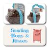 ButtonChocs Get Well Soon Chocolate Piglet - Sending Hogs & Kisses. Belgian Milk Chocolate Get Well Soon Gift. Thinking of You Gift. view 2