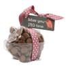 ButtonChocs Leaving Chocolate Piglet - Miss You Pig Time. Belgian Milk Chocolate Goodbye Gift. Miss You Gift. view 1