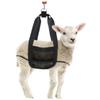 POPETPOP Calf Weigh Sling Hammock for Small Animals Adjustable Weighing Mesh for Puppies and Goats Compact Design Easy-to-use Features view 4
