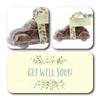 ButtonChocs Get Well Soon Chocolate Car. Get Well Soon. Belgian Milk Chocolate Get Well Soon Gift. Thinking of You Gift. Flower/Leaf Ribbon. view 2