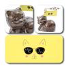 ButtonChocs Chocolate Kitten - Meow. Belgian Milk Chocolate Gift. Cat Lover Gift. view 2