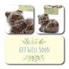 ButtonChocs Get Well Soon Chocolate Kitten. Belgian Milk Chocolate Get Well Soon Gift. Thinking of You Gift view 2
