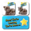 ButtonChocs Sorry You're Leaving Chocolate Kitten. Belgian Milk Chocolate Leaving Gift. Goodbye Gift. view 2