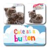 ButtonChocs Cute as a Button Chocolate Kitten. Belgian Milk Chocolate Cat Gift. Cat Lover Gift. view 2