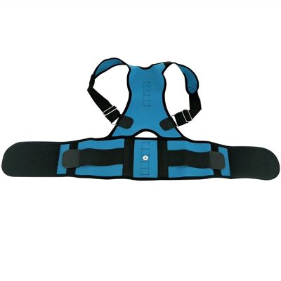 Back Brace Lumbar Support Belt Posture Corrector for Women Men Physical Therapy Waist Trainer Wrap Pain Relief Arthritis Sciatica Scoliosis (Size : 6XL) (XXXX)