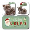 ButtonChocs Christmas Chocolate Kitten - Merry Christmas. Belgian Milk Chocolate Gift for Christmas. view 2