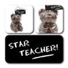 ButtonChocs Star Teacher Chocolate Teddy Bear. Belgian Milk Chocolate Star Teacher Gift. Tutor Gift. Best Teacher. view 2