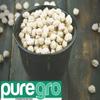 Puregro Chickpeas 1.5kg (PACK OF 1) | Kabuli Chana | Hommes | Lablabi | Chole Chana. view 3