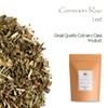 Rue Herb - Ruda Herb -Rue Herbs - Ruta Graveolens view 3