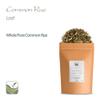 Rue Herb - Ruda Herb -Rue Herbs - Ruta Graveolens view 4