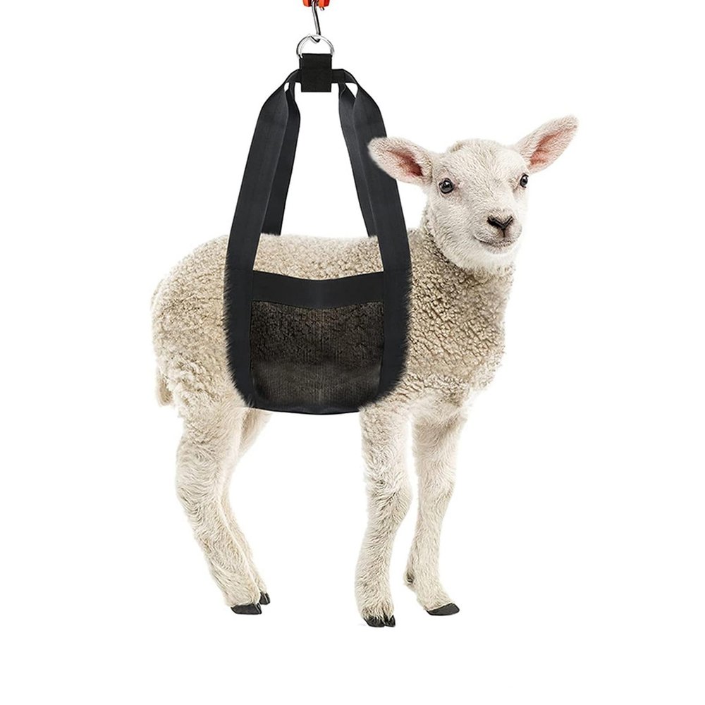 Qcwwy Calf sling for weighing animals, calf scale for hanging, scale, animal weighing sling, high robustness, easy to clean, weighing bag sling for lambs, goats, alpacas,