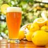 FruttaMax Sugar-Free Lemon Beer Syrup  50% Real Fruit | Low-Calorie Drink Syrup for Soda Makers, Cocktails & Desserts  500ml view 3