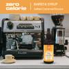 Blue Nile Foods Barista Salted Caramel Coffee Syrup, Zero Sugar, Keto Friendly, Calorie/Sugar Free Syrups for Drinks, Cooking, Hot/Iced Coffee Syrup, 1L view 2
