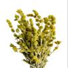 Premium Greek Mountain Tea Sideritis Scardica 220 grams - 1.95 Kilos Whole Bunch (220 grams) view 4