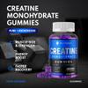HealthEssent Creatine Monohydrate Pre Workout Gummies 3000mg  Supports Muscle Recovery, Strength & Power  Enhances Workout Performance  60 Vegan Capsules (1-Month Supply) view 4