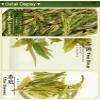 Dragonwell Longjing Tea(Ming Qian),Fresh Dragon Well Green Tea Leaf,Pick Before Qingming from Hangzhou Plantation,125g, view 4