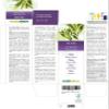 Olive (Olea europaea) Leaves Alcohol-Free Mother Tincture Naturalma - Liquid Extract Drops 200 ml - Food Supplement - Vegan view 2
