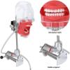 CEEBUS Dental Simulator Mannequin Head Teeth Model Manikin Phantom Head Training Bench Mount Fix on Desk Clip Rotating Freely Dental Teaching Practicing Head Mold Suitable view 3