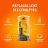 Nature's Finest by Nutrisslim Isotonic Drink Powder - Orange Flavor, Electrolyte Mix for Rehydration & Recovery, Energy Drink, Vegan, 500mg L-carnitine, 300g view 2