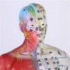 CEEBUS Acupuncture Model, Human Acupuncture Model Of 85 Cm - Pressure Point And Meridians - From The Display Of Studies (Color : A) view 3