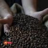 Single origin ground coffee for espresso Colombia Selection, 100% arabica, friar's tunic roasting, bar blend, pack of 2 x 250 g view 4