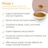 Convenient Ground Seed Cycling Kit for Female Health and Wellbeing. Phase 1 Ground Pumpkin & Flaxseeds and Phase 2 Ground Sunflower & Sesame Seeds view 2