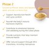 Convenient Ground Seed Cycling Kit for Female Health and Wellbeing. Phase 1 Ground Pumpkin & Flaxseeds and Phase 2 Ground Sunflower & Sesame Seeds view 3