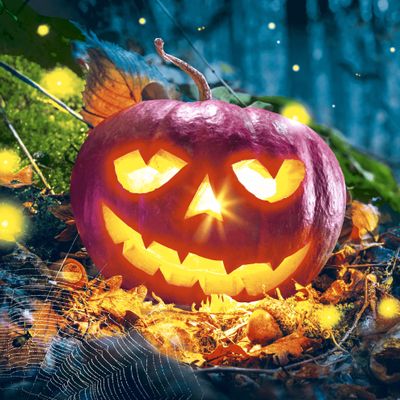 20 Napkins Autumn Halloween Pumpkin at Night Table Decoration Paper Napkins with Motif Also for Decoupage and Decoupage 33 x 33 cm